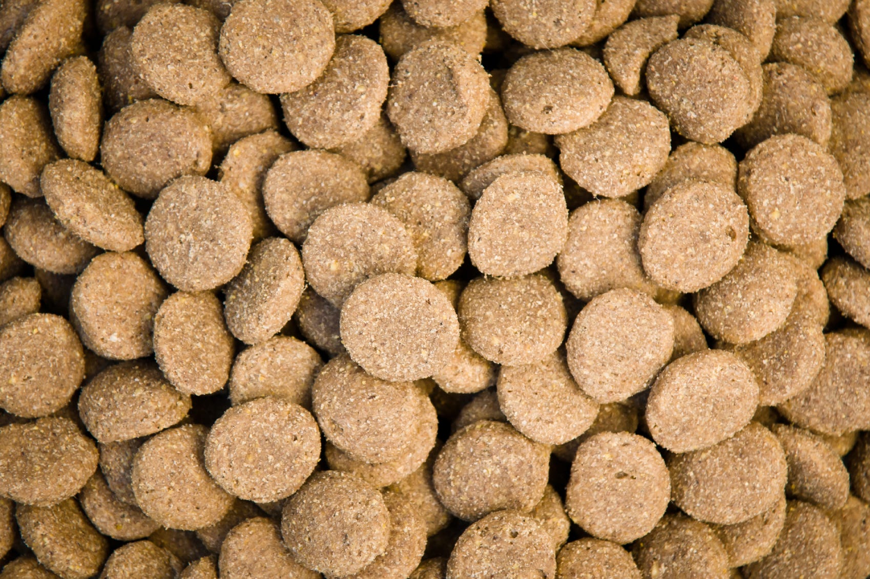 The Importance of Pigments in Dog Food | The Honest ...
