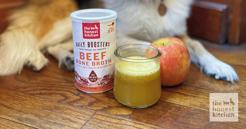 Apple Cider for Dogs