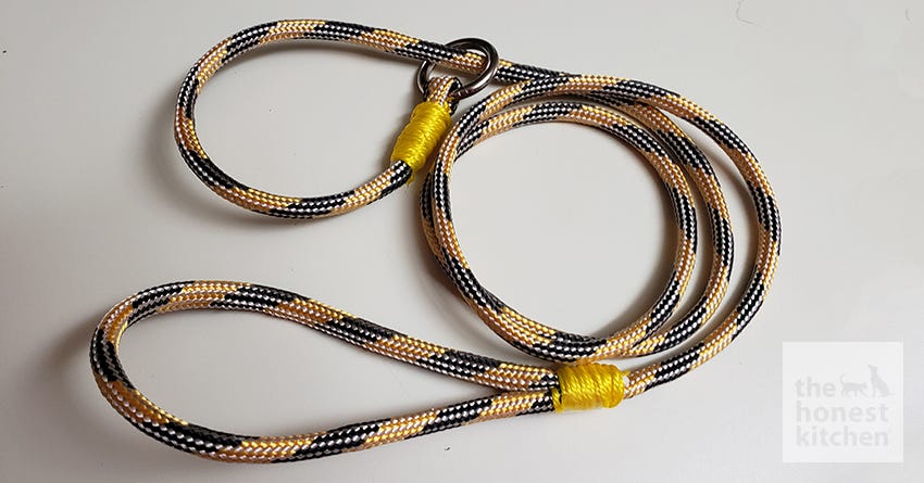 Make Your Own DIY Emergency Slip Leashes – The Honest Kitchen