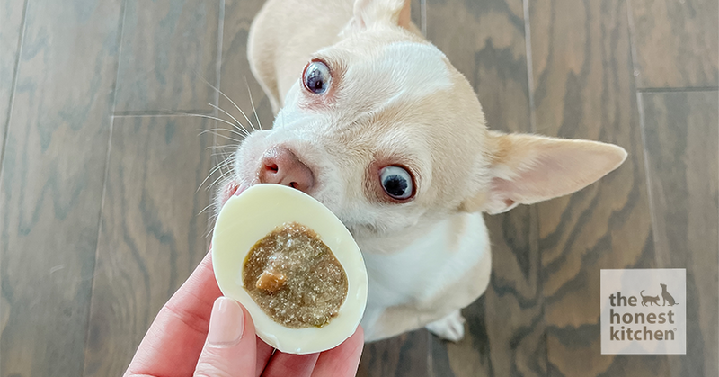 Deviled Eggs for Dogs