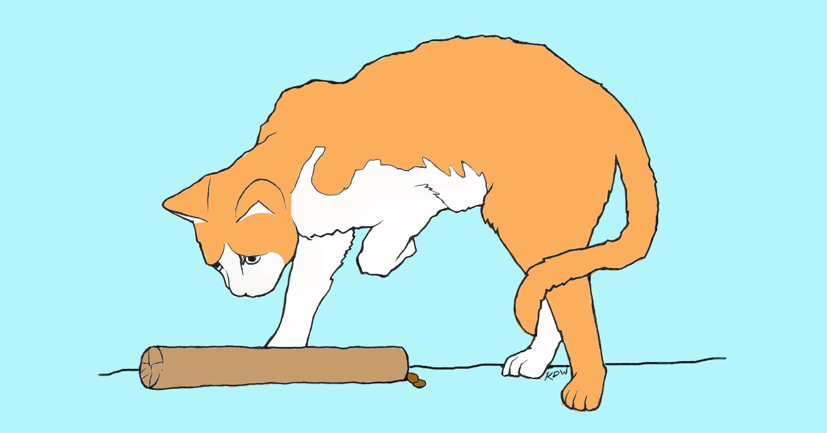 DIY: Three Fun Toys for Cats