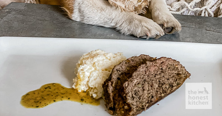 Meatloaf Recipe for Dogs