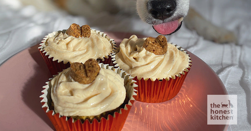 Dog-Friendly Pumpkin Cupcakes