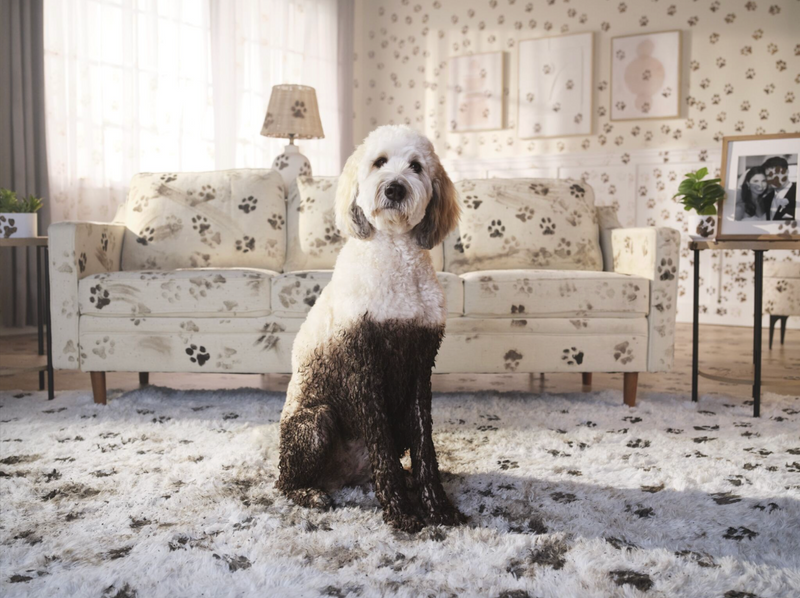 Muddy paws feed them the best whether they deserve it or not