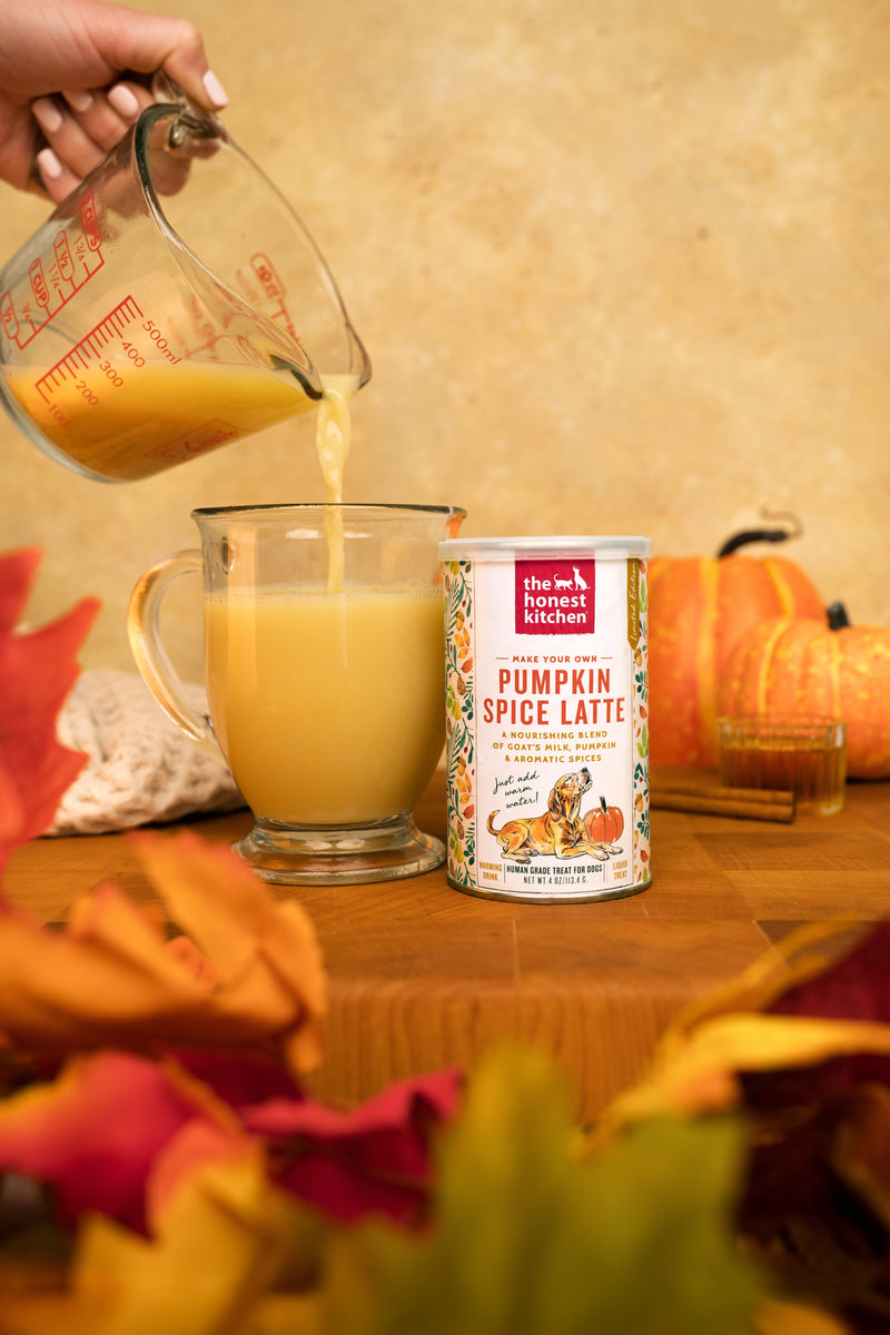 The Honest Kitchen's Pumpkin Spice Latte Liquid Treat Drink For Dogs