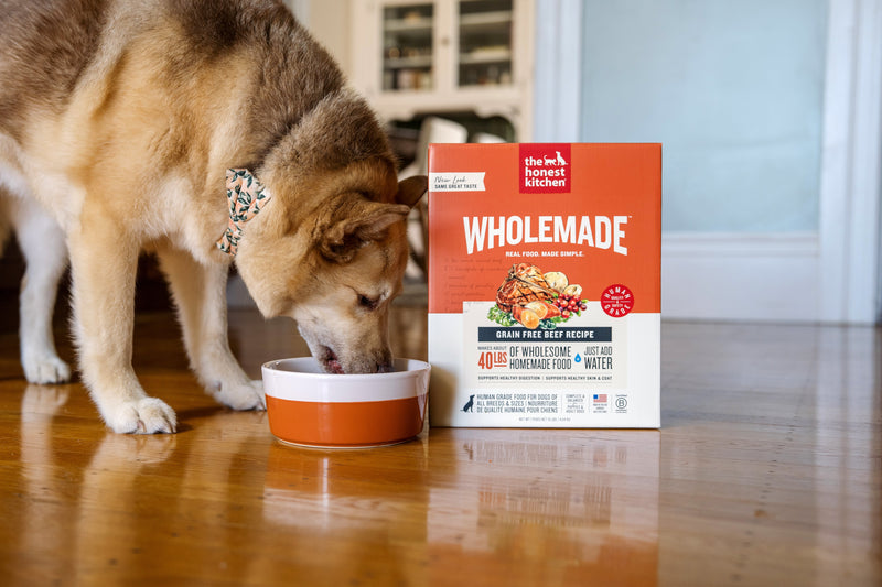 Dog enjoying The Honest Kitchen's Wholemade dehydrated dog food