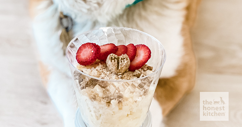 Rice Pudding for Dogs