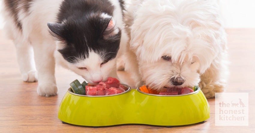 The Honest Kitchen Completes In-Home AAFCO Feeding Trials to Substantiate the Nutritional Benefits of its Human-Grade Food for Dog