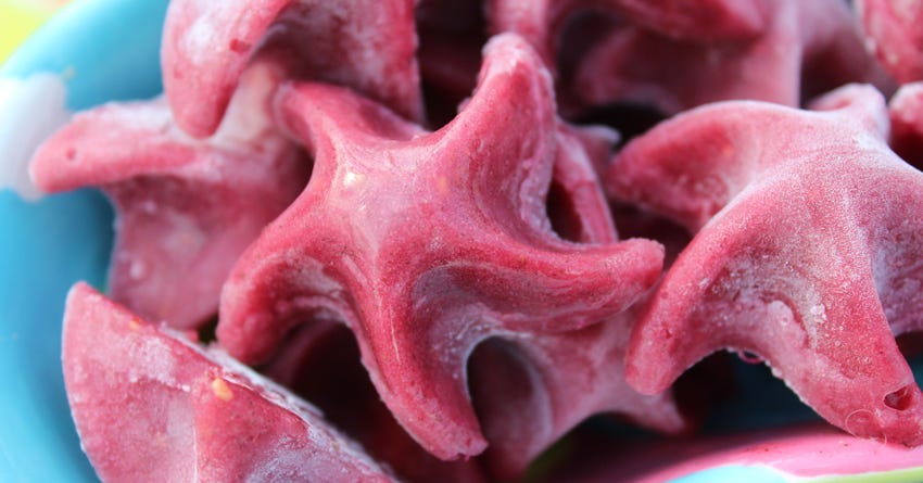 Frozen Raspberry Pineapple Dog Treats