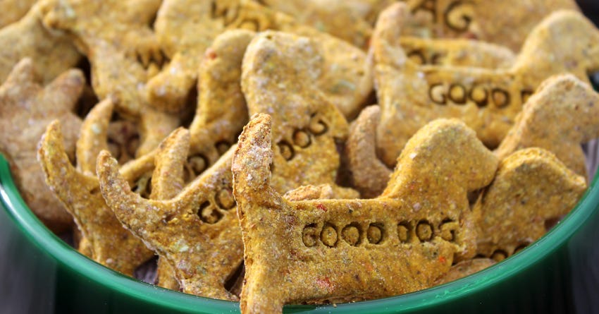 Thanksgiving Turkey Dog Treats