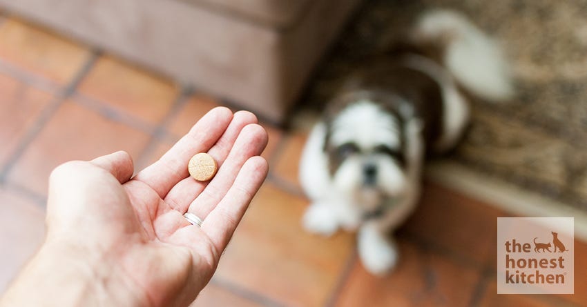 dog pill