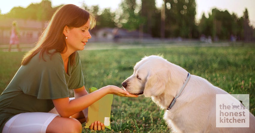 Phasing Out Food Lures and Rewards