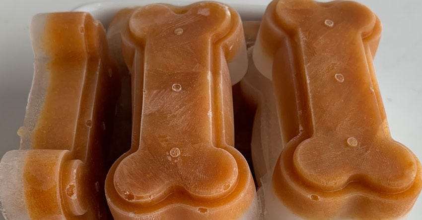 Goat's Milk and Pumpkin Pour Over Pupsicles