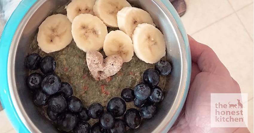 Topping Your Pet's Food With People Foods
