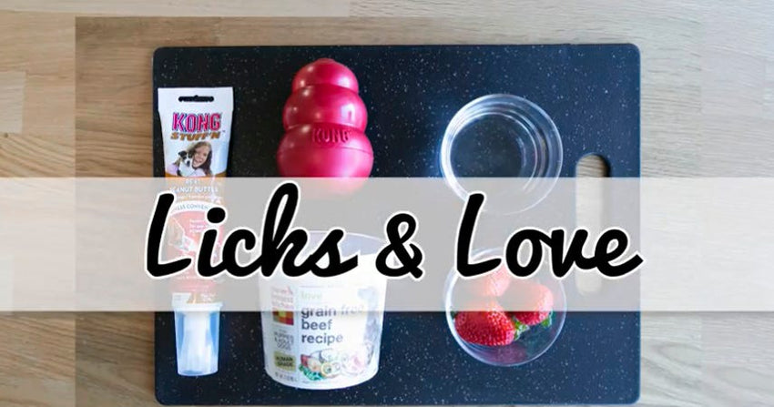 Licks & Love Stuffed Kong Recipe