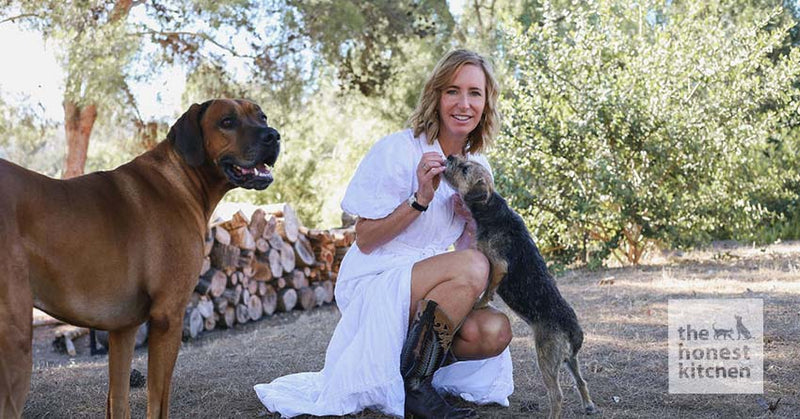 How The Honest Kitchen Became the First Human Grade Pet Food