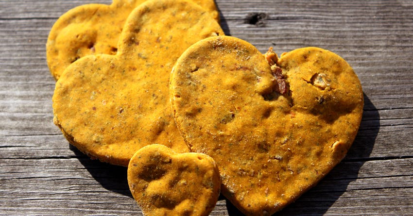 Bacon and Pumpkin Dog Treats