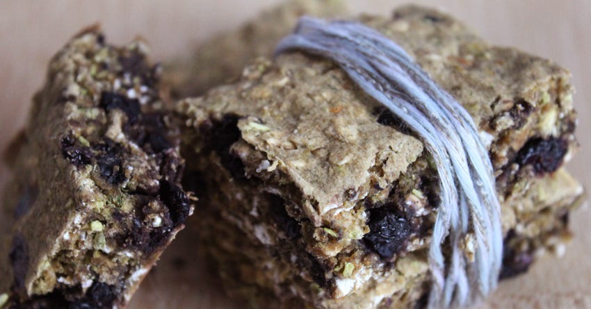 Blueberry &amp; Fish Power Bars for Dogs &ndash; The Honest Kitchen