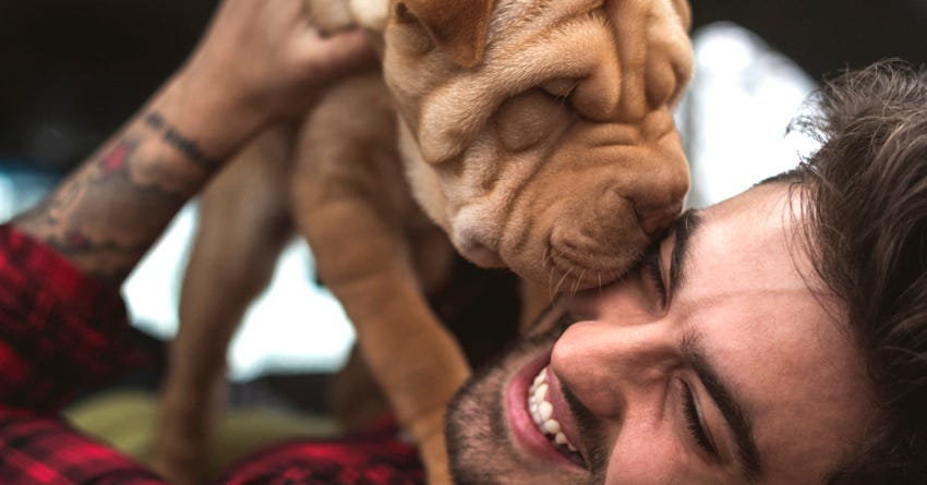 Teaching Your Puppy to Stay Close