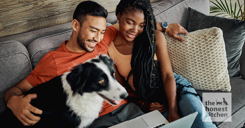 The Dog Lover’s Guide to Human Grade Dog Food