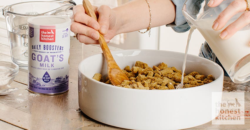 Goat Milk Product For Cats