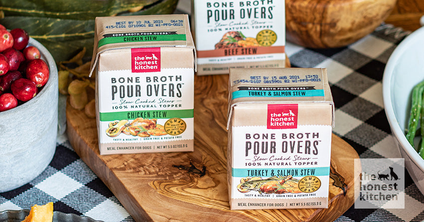 8 Best Dog Food Toppers for Tastier Mealtimes