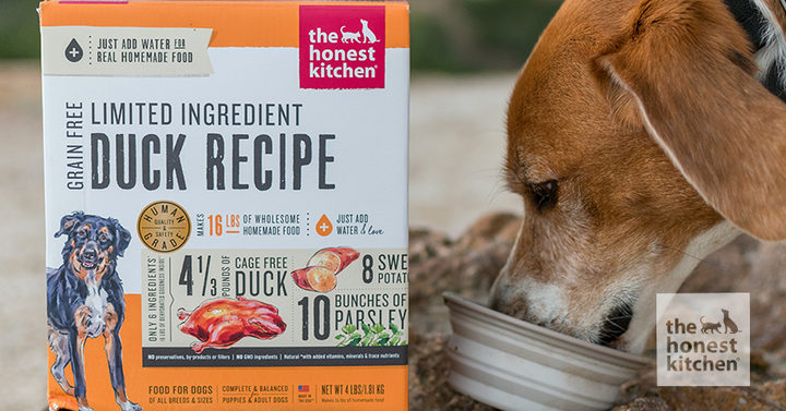 An adult dog eating dog food out of a bowl on the ground next to a package of The Honest Kitchen's Limited Ingredient Duck product.