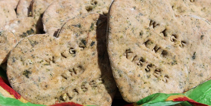 Honest Kitchen Kale and Revel Dog Treats