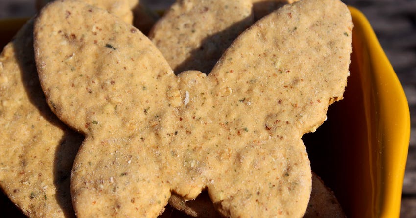 Applesauce and Oatmeal Dog Treats