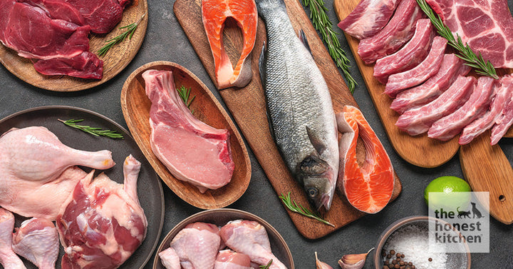 A selection of high-quality meats that are safe and healthy options for dogs