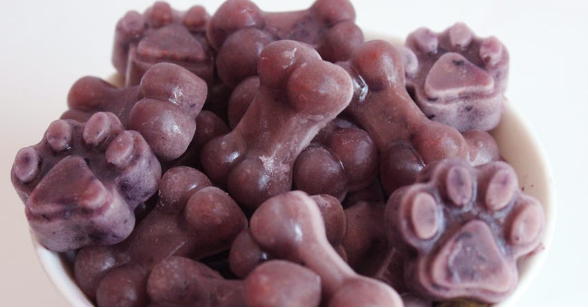 Blueberry and Bone Broth Frozen Treats