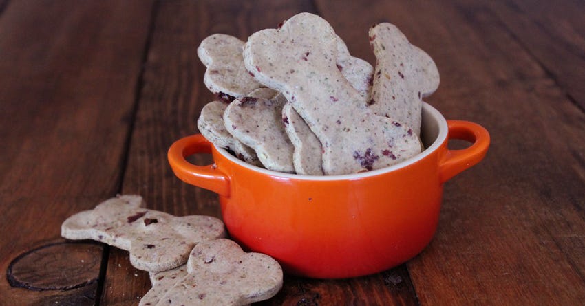 Gluten Free Cheesy Cranberry Dog Treats