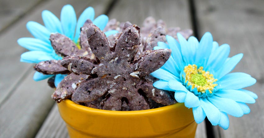 Blueberry and Blackberry Gluten Free Dog Treats