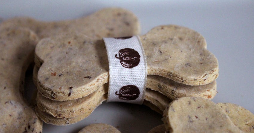 Pumpkin Spice and Apple Dog Treats