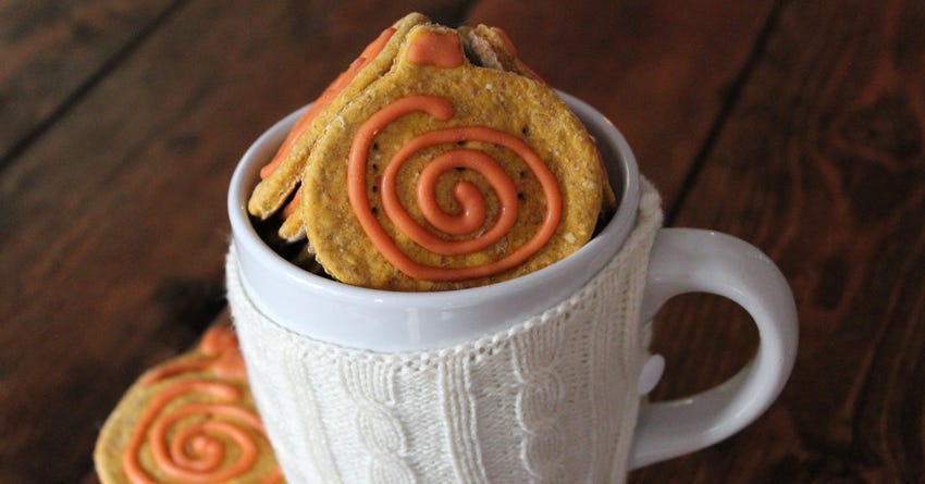 Pumpkin Spice Latte Dog Treats