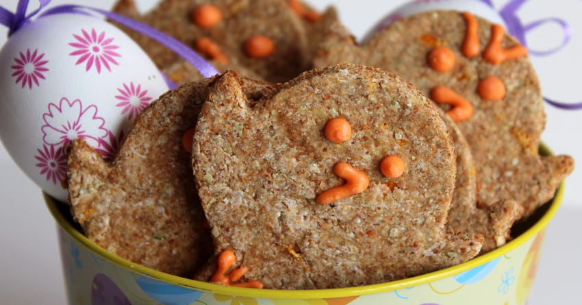 Orange Pro Bloom Dog Treats