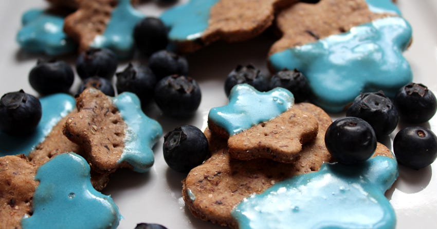 Delicious Blueberry and Banana Dog Treat Recipe