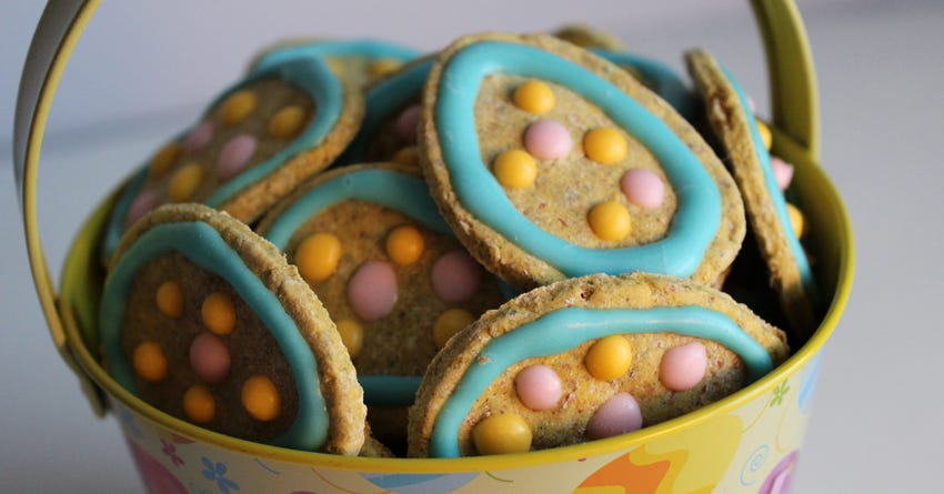 Limited Ingredient Duck & Mango Dog Treats
