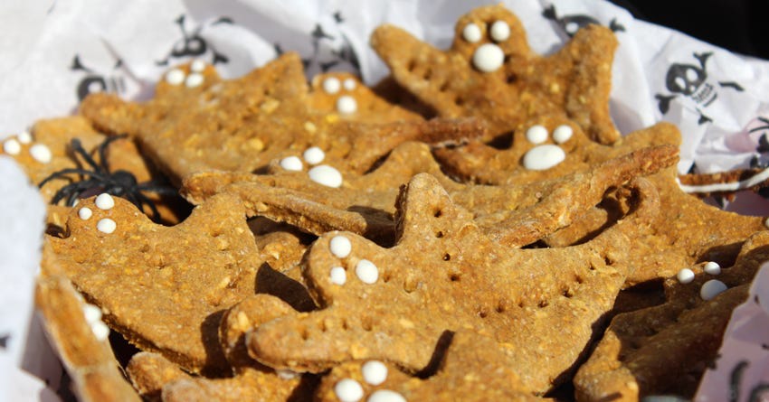 Pumpkin Oatmeal Spice Dog Treat Recipe