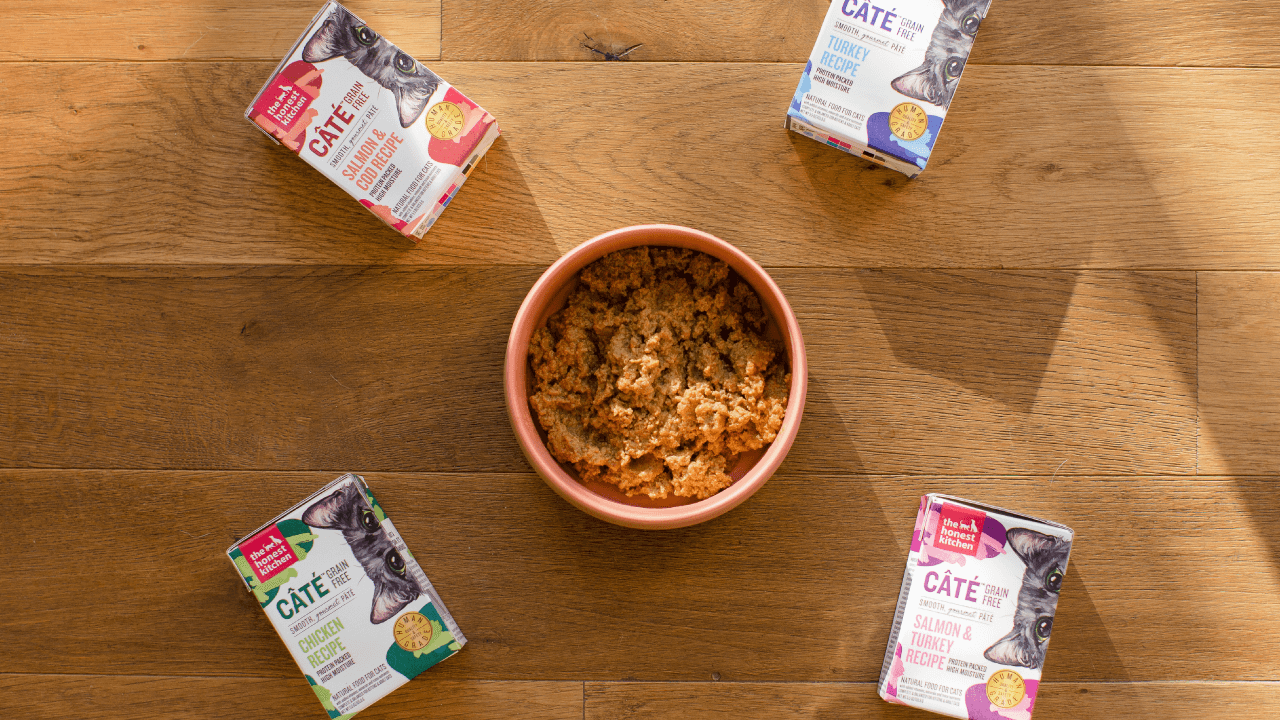 Shop Wet Cat Food Pate – The Honest Kitchen