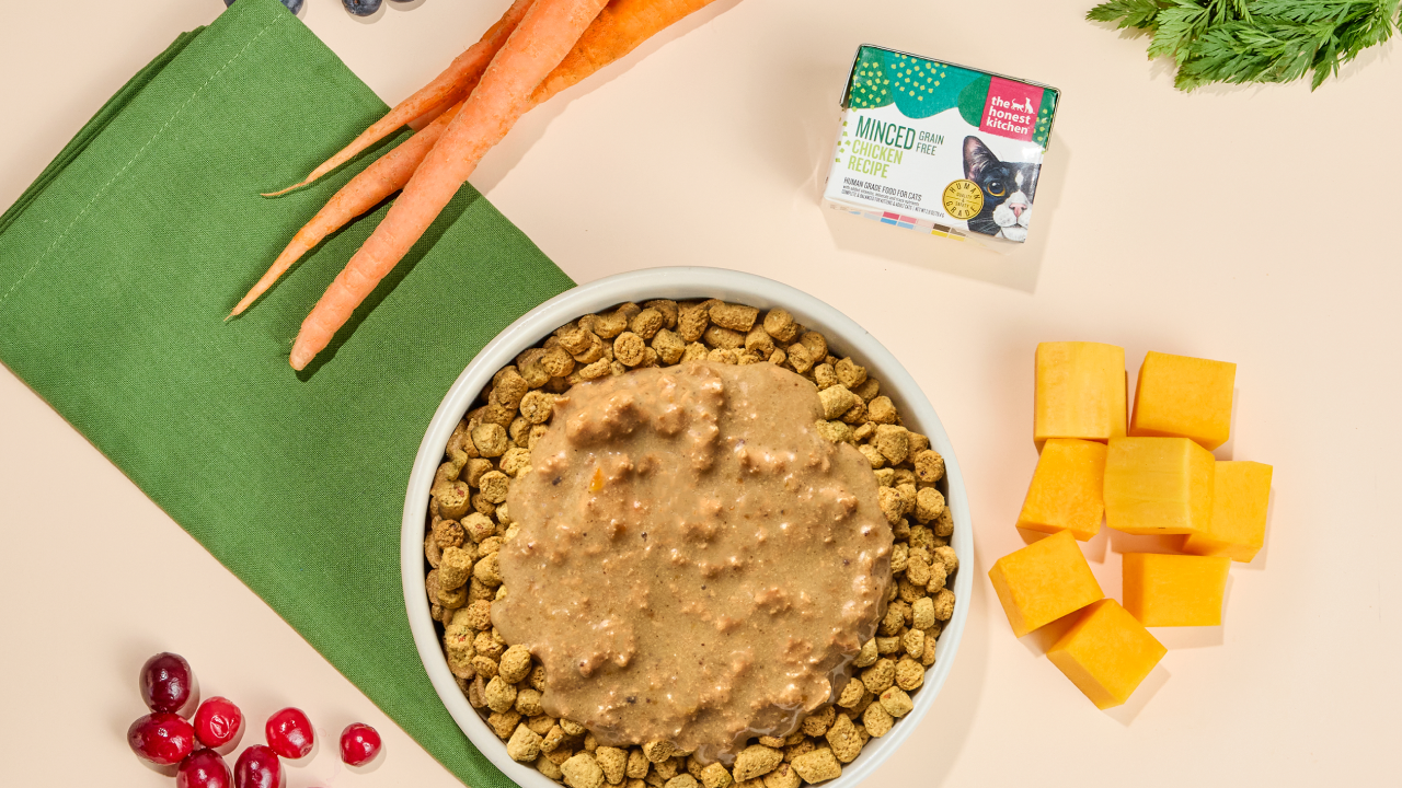 Human Grade Cat Food with Chicken – The Honest Kitchen