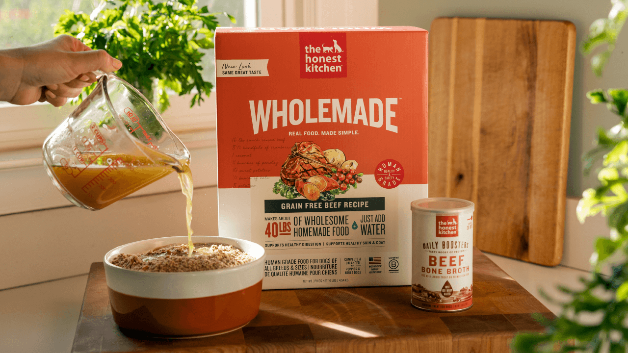 Shop Adult Dog Food, Treats, and Toppers | The Honest Kitchen