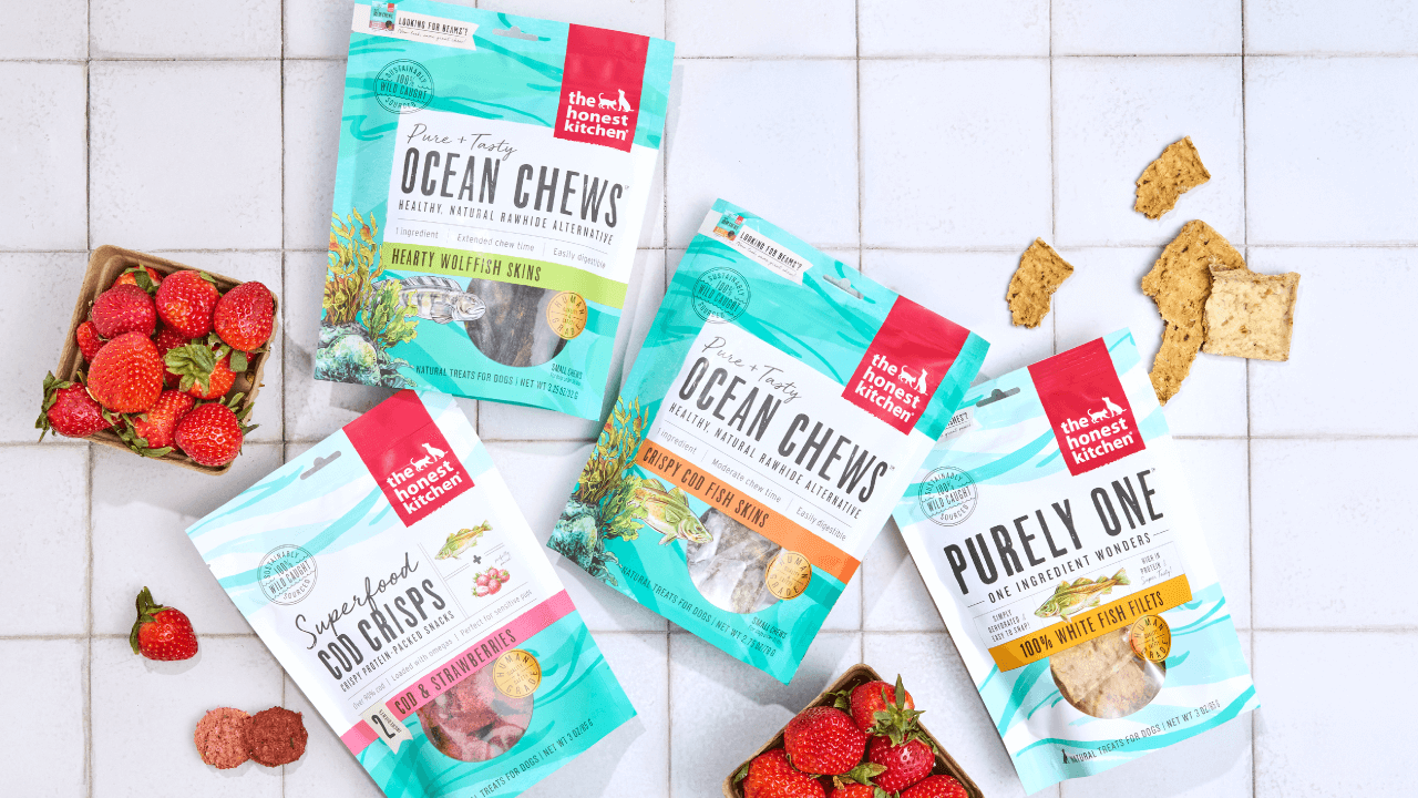 A top-down view of The Honest Kitchen's Limited Ingredient Fish Recipe dog food, featuring a golden retriever, fresh ingredients, and the product packaging, showcasing a healthy and natural pet food option.