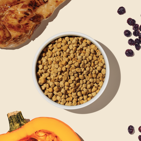 A bowl of The Honest Kitchen's Whole Food Clusters for Cats surrounded by ingredients like chicken, pumpkin and cranberries to highlight the ingredients in the recipe.