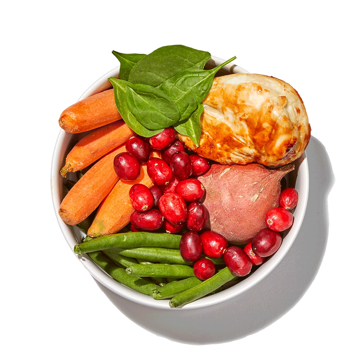 A bowl of real food ingredients like chicken, carrots and green beans, transitioning to The Honest Kitchen's dehydrated food to illustrate the ingredient quality. Healthy, high quality, human grade dehydrated dog food from The Honest Kitchen.