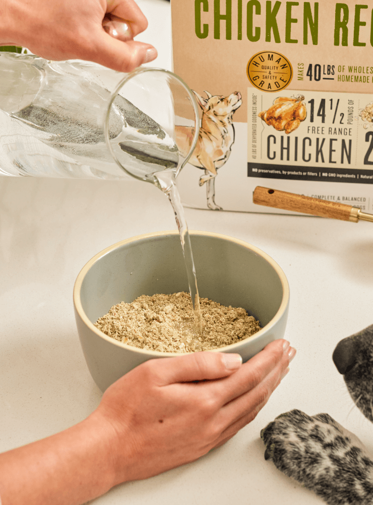 A dog sniffs at a bowl of The Honest Kitchen's dehydrated food as someone pours water into it. Shop healthy, high quality, human grade dehydrated food from The Honest Kitchen.