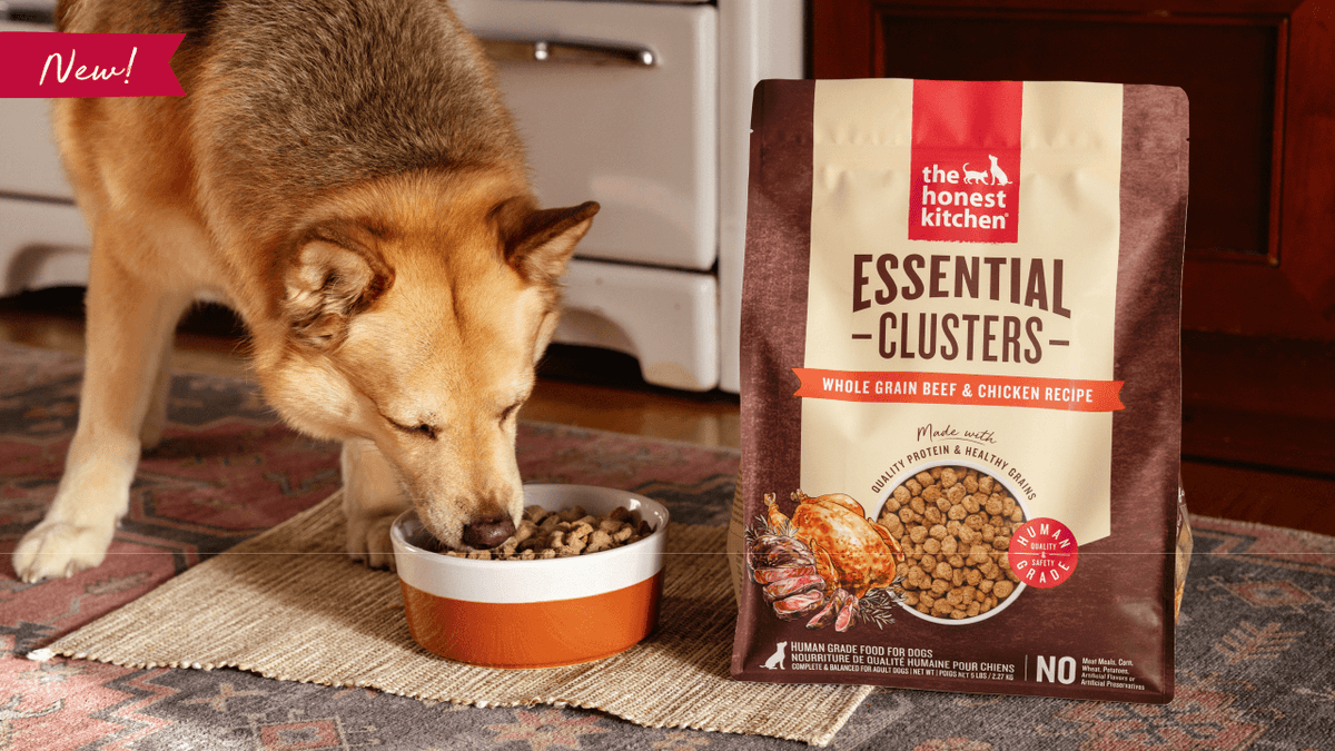 Dog eating from a bowl of food next to a bag of 'The Honest Kitchen' Essential Clusters dog food.