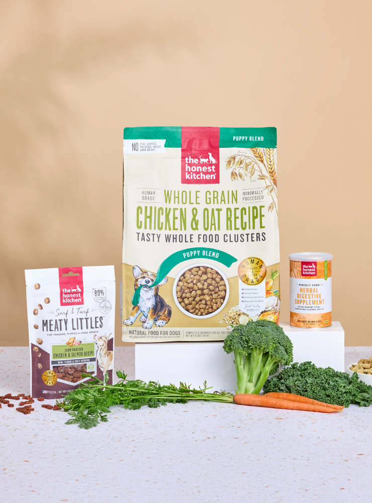 The honest kitchen products on a beige background with ingredients surrounding it to highlight quality. Subscription at The Honest Kitchen.