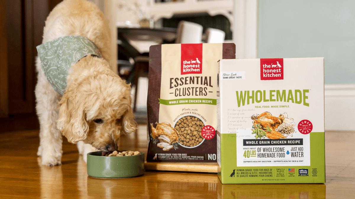 Dog eating from a bowl with two boxes of The Honest Kitchen pet food on a wooden floor. Shop all healthy, high quality, human grade dog food, treats and toppers from The Honest Kitchen.