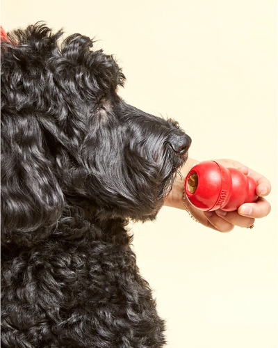 Stuffable Toys & Lick Mats